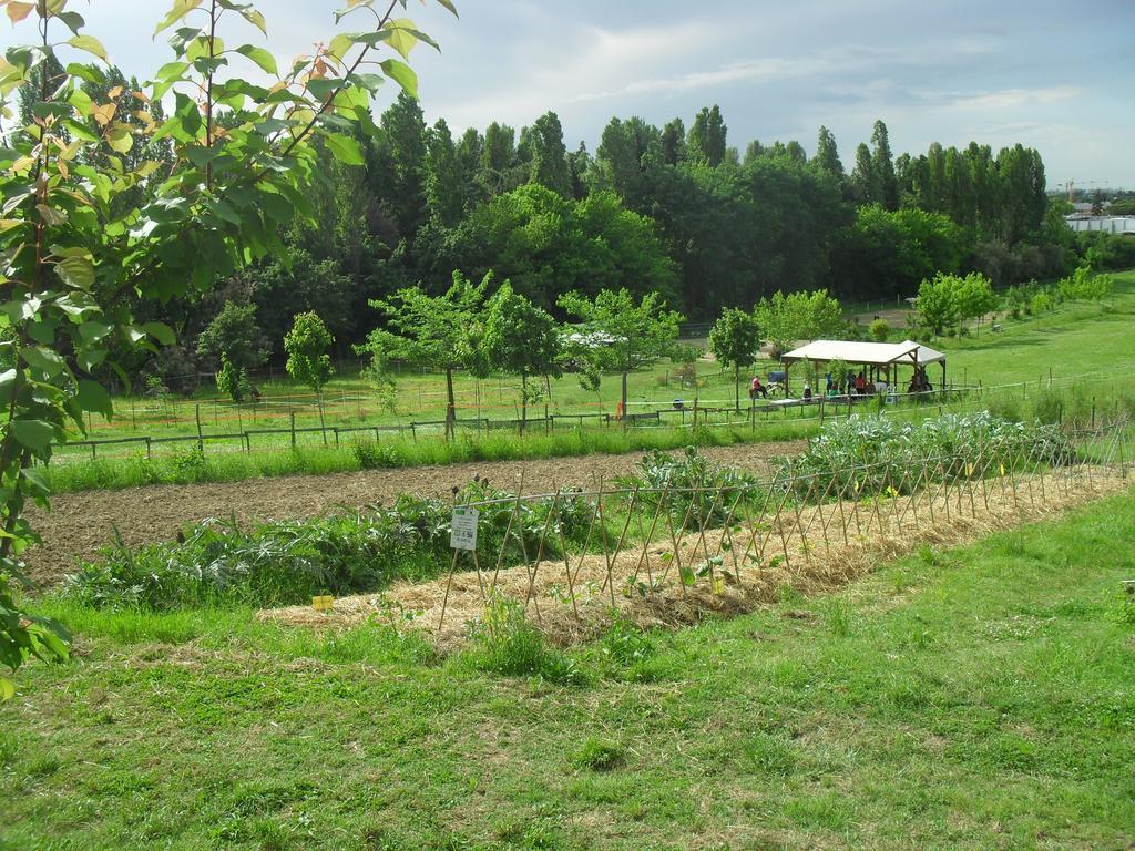 Agriturismo Case Mori Rimini Exteriér fotografie